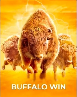 Buffalo Win game